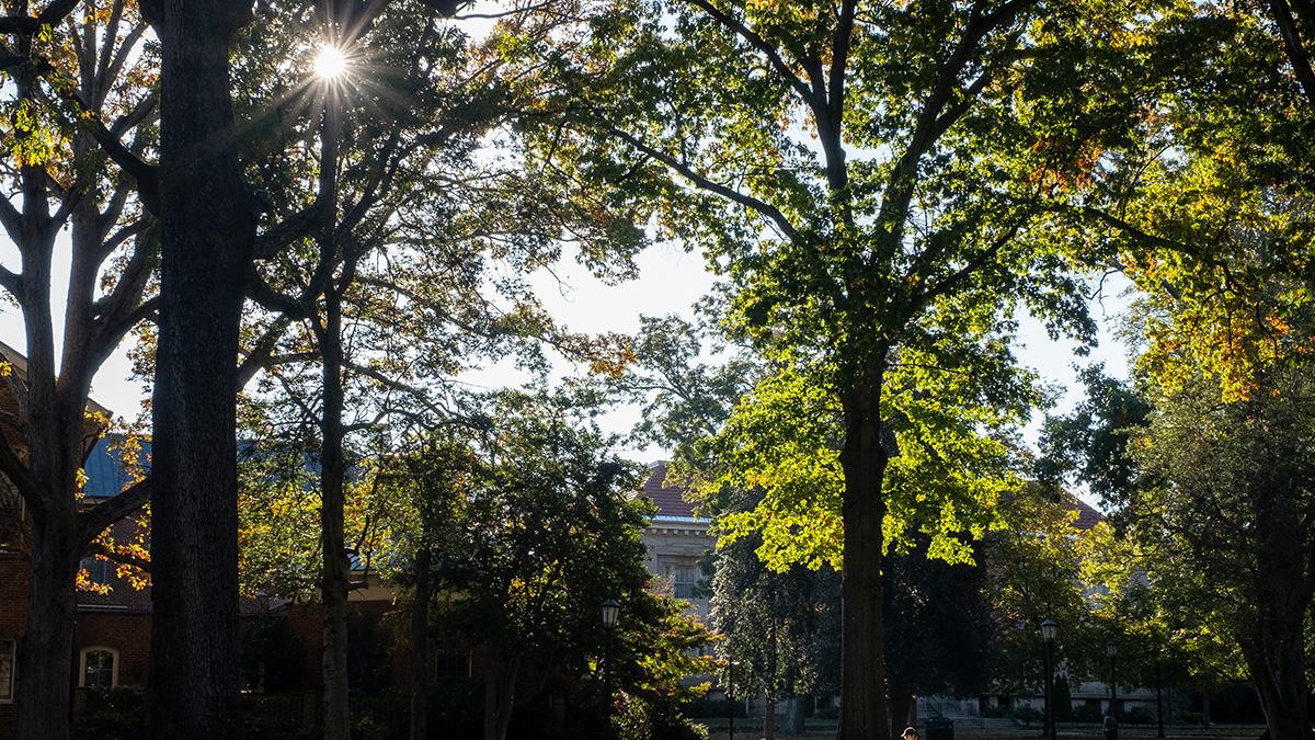 Wide shot of UNC campus with sun peaking through trees in top right corner of the image.